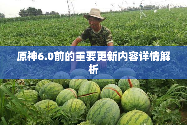 原神6.0前的重要更新内容详情解析