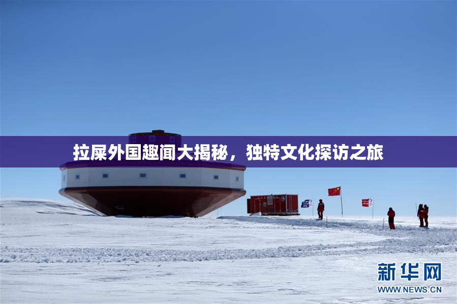 拉屎外国趣闻大揭秘，独特文化探访之旅