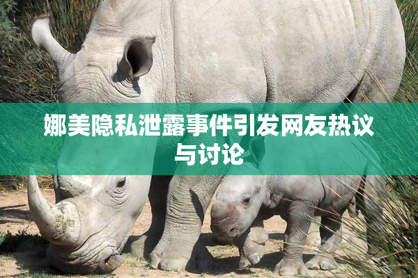 娜美隐私泄露事件引发网友热议与讨论