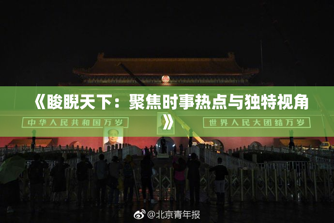 《睃睨天下：聚焦时事热点与独特视角》