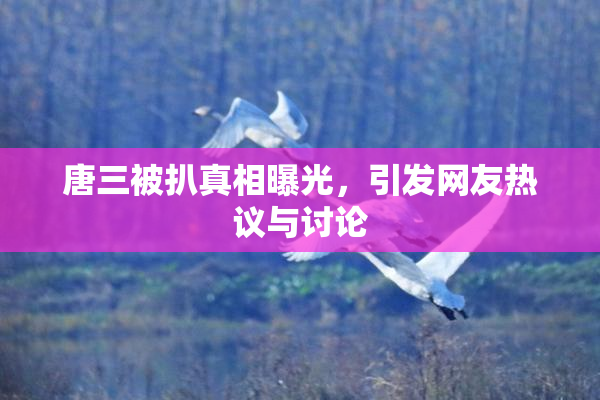 唐三被扒真相曝光，引发网友热议与讨论