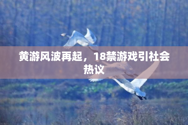 黄游风波再起，18禁游戏引社会热议