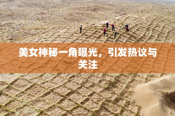 美女神秘一角曝光，引发热议与关注