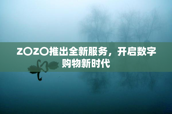 Z〇Z〇推出全新服务，开启数字购物新时代