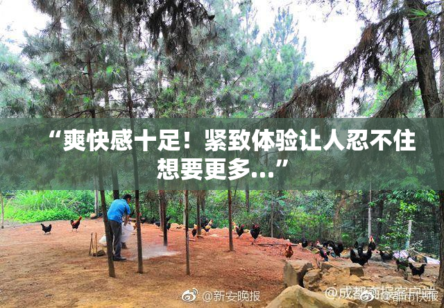 “爽快感十足！紧致体验让人忍不住想要更多…”