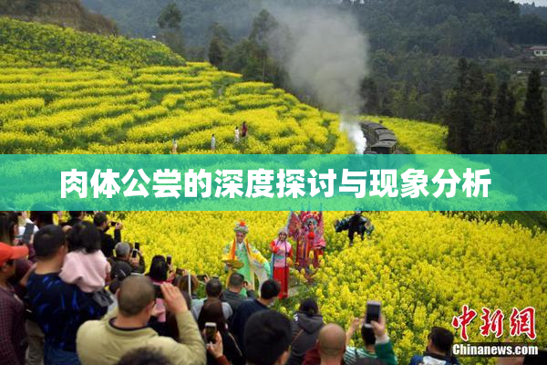 肉体公尝的深度探讨与现象分析