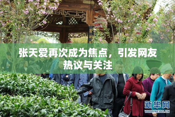 张天爱再次成为焦点，引发网友热议与关注