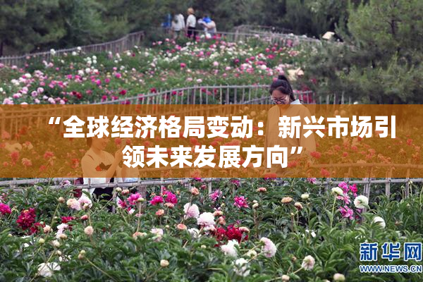 “全球经济格局变动：新兴市场引领未来发展方向”