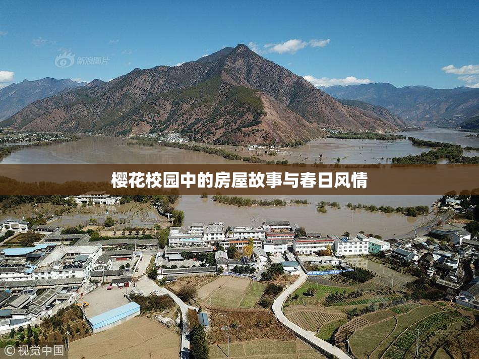 樱花校园中的房屋故事与春日风情