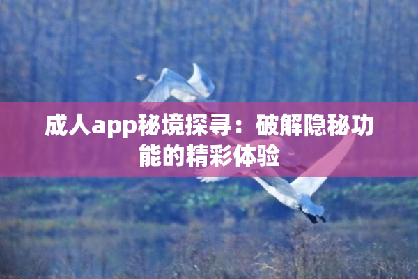 成人app秘境探寻：破解隐秘功能的精彩体验