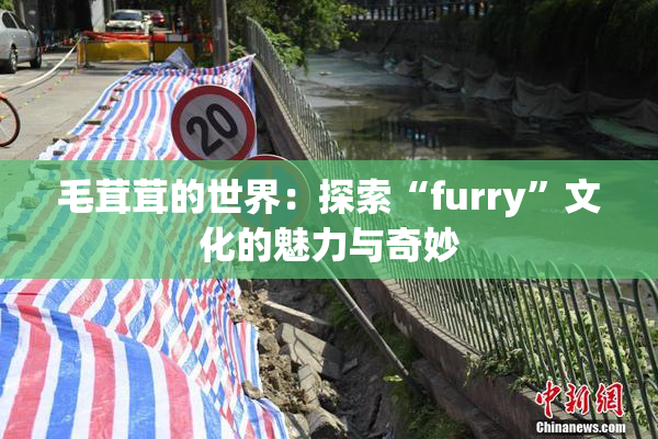 毛茸茸的世界：探索“furry”文化的魅力与奇妙