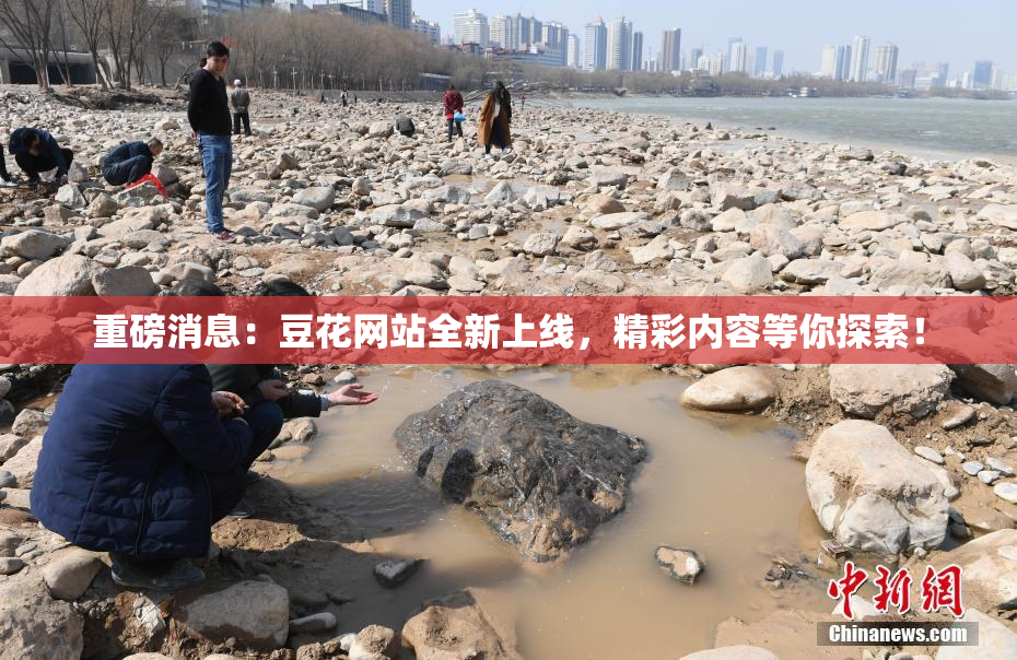 重磅消息：豆花网站全新上线，精彩内容等你探索！