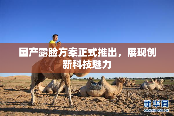 国产露脸方案正式推出，展现创新科技魅力