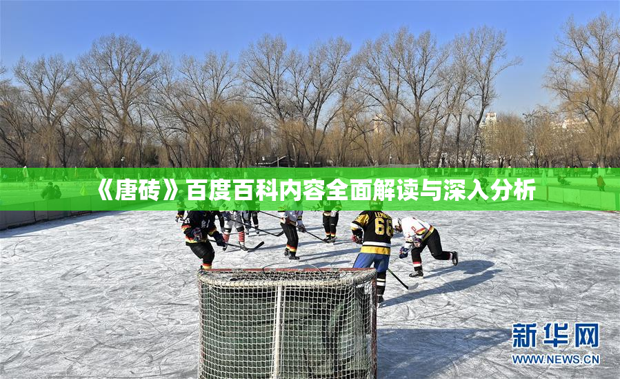 《唐砖》百度百科内容全面解读与深入分析