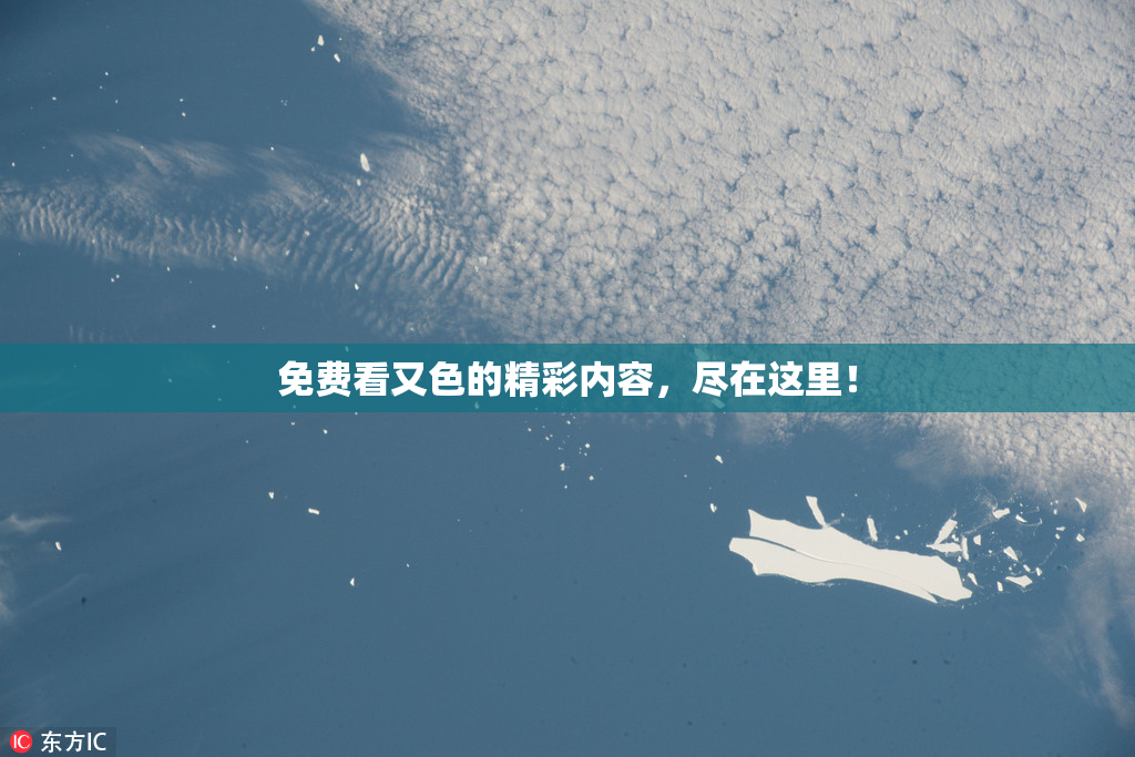 免费看又色的精彩内容，尽在这里！