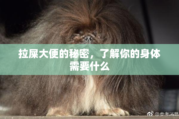 拉屎大便的秘密，了解你的身体需要什么