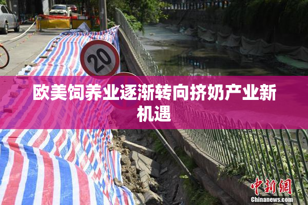 欧美饲养业逐渐转向挤奶产业新机遇