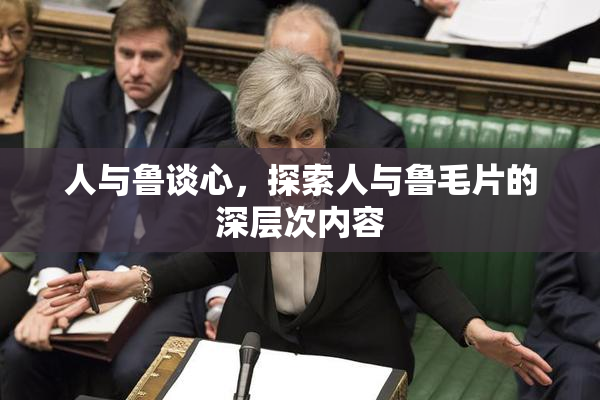 人与鲁谈心，探索人与鲁毛片的深层次内容
