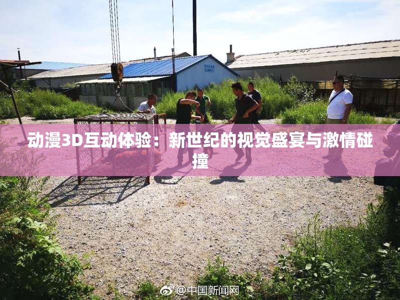 动漫3D互动体验：新世纪的视觉盛宴与激情碰撞