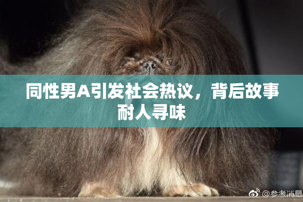 同性男A引发社会热议，背后故事耐人寻味