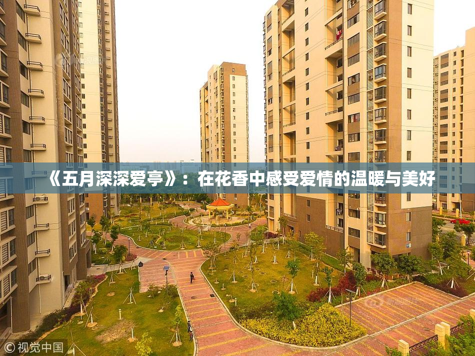 《五月深深爱亭》：在花香中感受爱情的温暖与美好