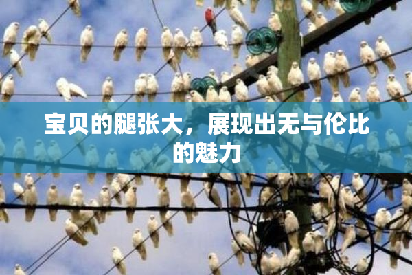 宝贝的腿张大，展现出无与伦比的魅力