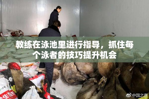 教练在泳池里进行指导，抓住每个泳者的技巧提升机会