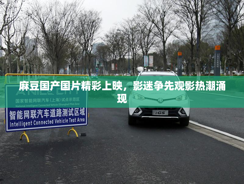 麻豆国产国片精彩上映，影迷争先观影热潮涌现