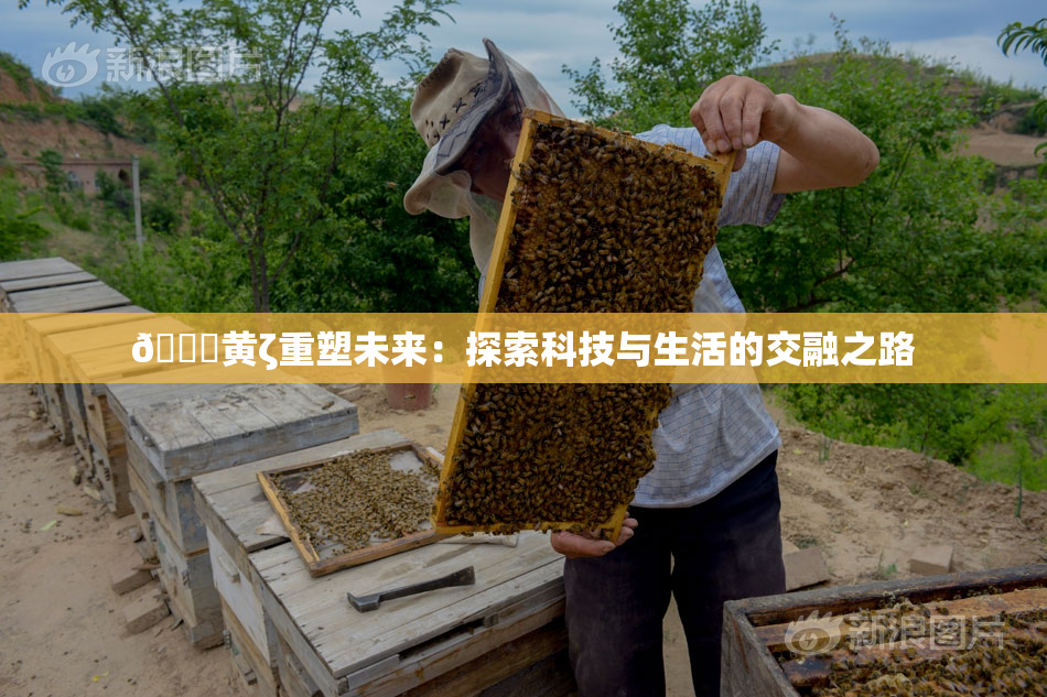 🔞黄ζ重塑未来：探索科技与生活的交融之路