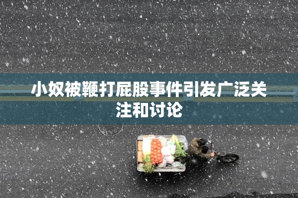 小奴被鞭打屁股事件引发广泛关注和讨论