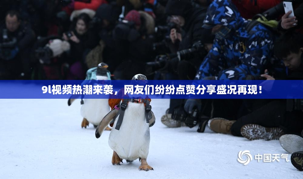 9l视频热潮来袭，网友们纷纷点赞分享盛况再现！