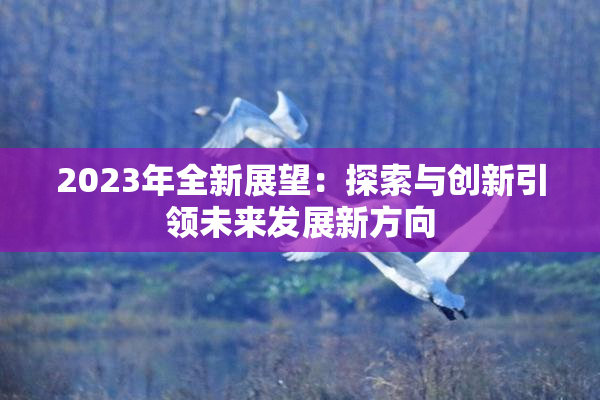 2023年全新展望：探索与创新引领未来发展新方向