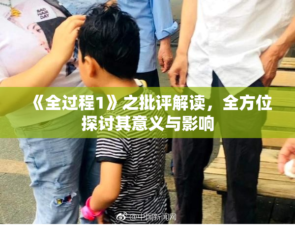 《全过程1》之批评解读，全方位探讨其意义与影响