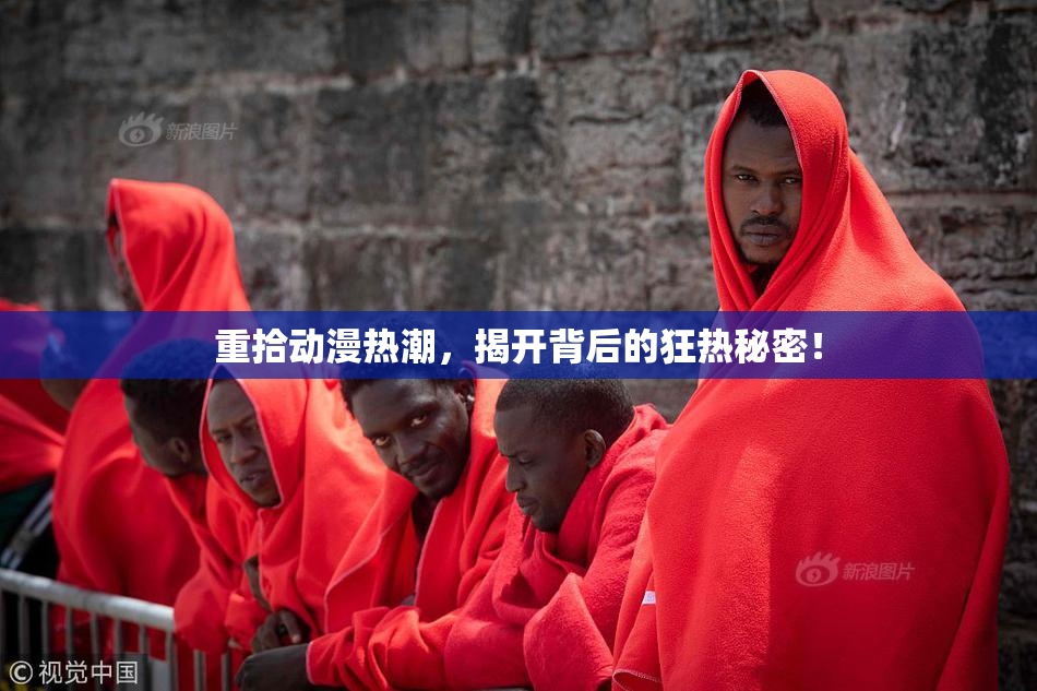 重拾动漫热潮，揭开背后的狂热秘密！