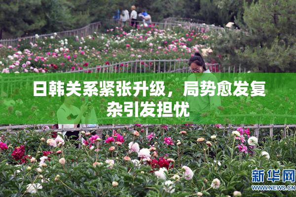 日韩关系紧张升级，局势愈发复杂引发担忧