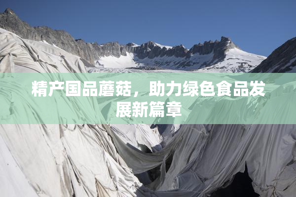 精产国品蘑菇，助力绿色食品发展新篇章