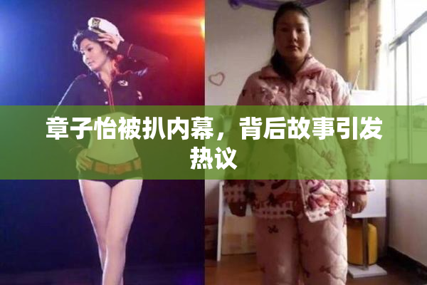 章子怡被扒内幕，背后故事引发热议