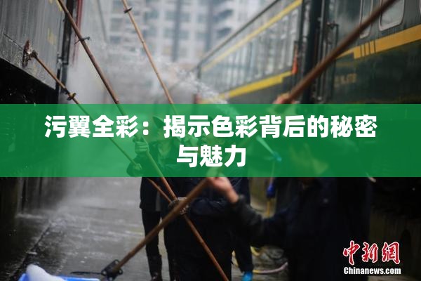 污翼全彩：揭示色彩背后的秘密与魅力