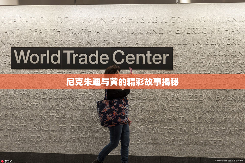 尼克朱迪与黄的精彩故事揭秘