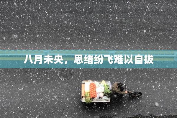八月未央，思绪纷飞难以自拔