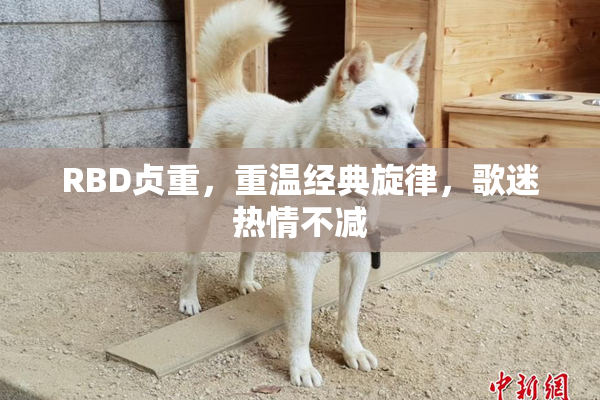 RBD贞重，重温经典旋律，歌迷热情不减