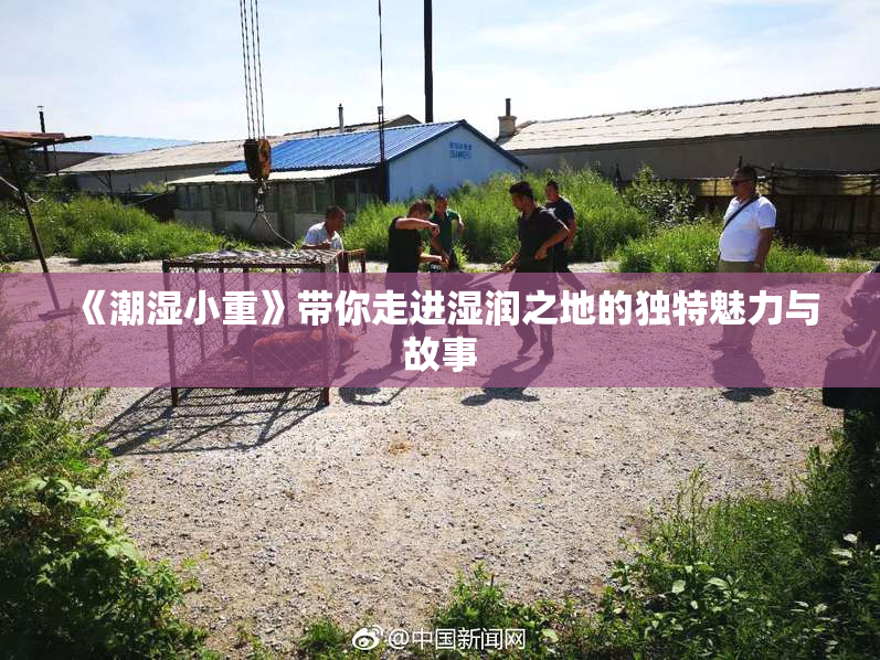 《潮湿小重》带你走进湿润之地的独特魅力与故事