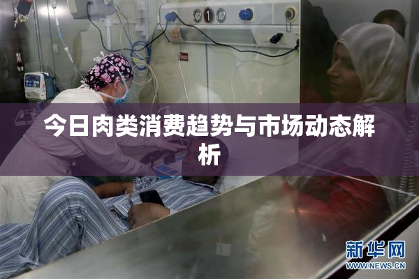 今日肉类消费趋势与市场动态解析