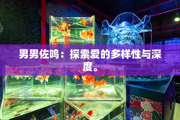 男男佐鸣：探索爱的多样性与深度。