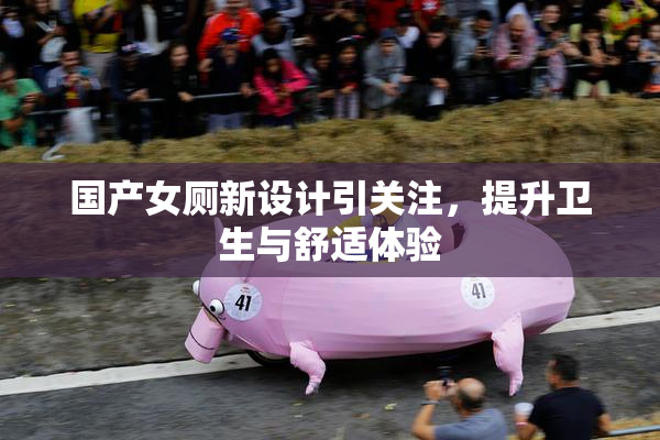 国产女厕新设计引关注，提升卫生与舒适体验