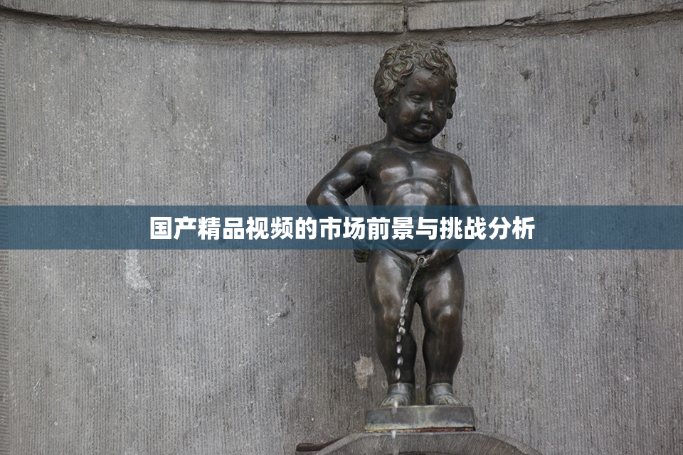 国产精品视频的市场前景与挑战分析