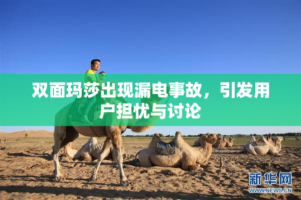 双面玛莎出现漏电事故，引发用户担忧与讨论