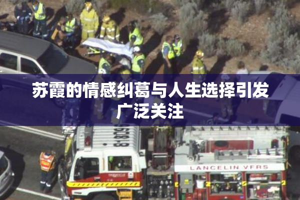 苏霞的情感纠葛与人生选择引发广泛关注