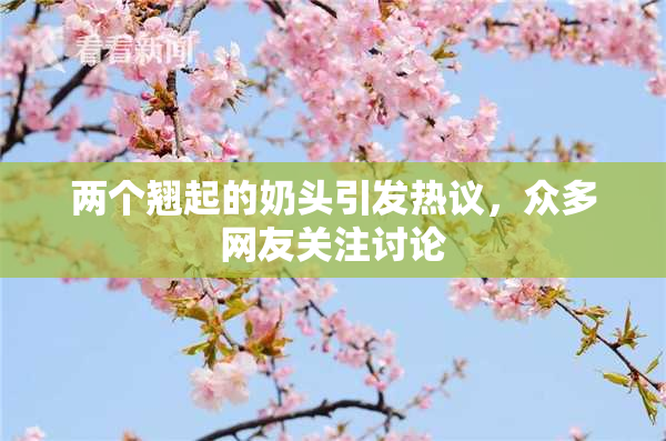 两个翘起的奶头引发热议，众多网友关注讨论