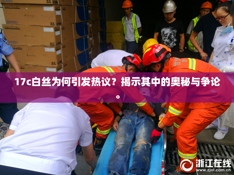 17c白丝为何引发热议？揭示其中的奥秘与争论。